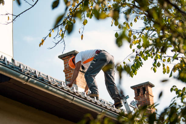Best Roof Gutter Cleaning  in Raleigh Hills, OR
